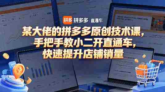 某大佬的拼多多原创技术课，手把手教小二开直通车，快速提升店铺销量-金启创业网 - 网上赚钱方法教程大全 - www.jinqi6.top