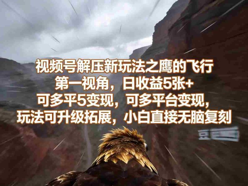 视频号解压新玩法之鹰的飞行第一视角，日收益5张+，可多平台变现，玩法可升级拓展，小白直接无脑复刻-金启创业网 - 网上赚钱方法教程大全 - www.jinqi6.top