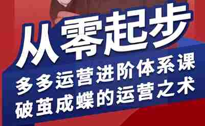 拼多多运营进阶系统课，从零起步，多多运营进阶体系课，破茧成蝶的运营之术（更新26年4月）-金启创业网 - 网上赚钱方法教程大全 - www.jinqi6.top