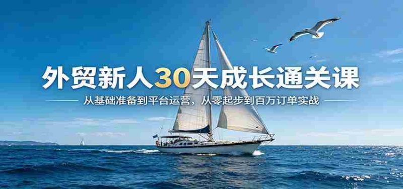 外贸新人30天成长通关课：从基础准备到平台运营，从零起步到百万订单实战-金启创业网 - 网上赚钱方法教程大全 - www.jinqi6.top