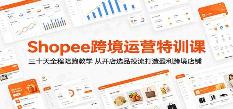 Shopee跨境运营特训课:三十天全程陪跑教学,从开店选品投流打造盈利跨境店铺-金启创业网 - 网上赚钱方法教程大全 - www.jinqi6.top