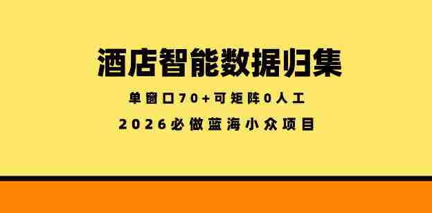 酒店智能数据归集，小众蓝海已经稳定半年之久，单窗口70+零成本矩阵开干【揭秘】-金启创业网 - 网上赚钱方法教程大全 - www.jinqi6.top