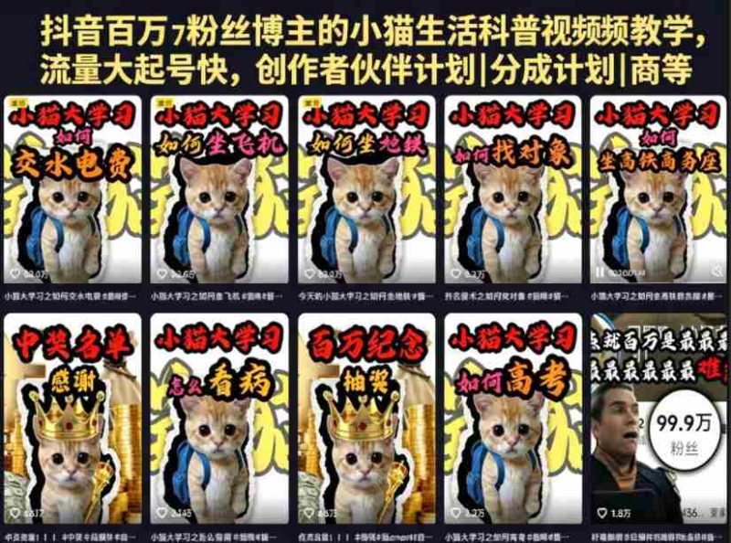 抖音百万粉丝博主的小猫生活科普视频教学,流量大起号快,创作者伙伴计划|分成计划|商单|收徒等-金启创业网 - 网上赚钱方法教程大全 - www.jinqi6.top