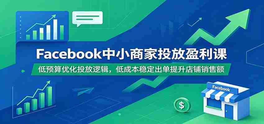 Facebook中小商家投放盈利课：低预算优化投放逻辑，低成本稳定出单提升店铺销售额-金启创业网 - 网上赚钱方法教程大全 - www.jinqi6.top