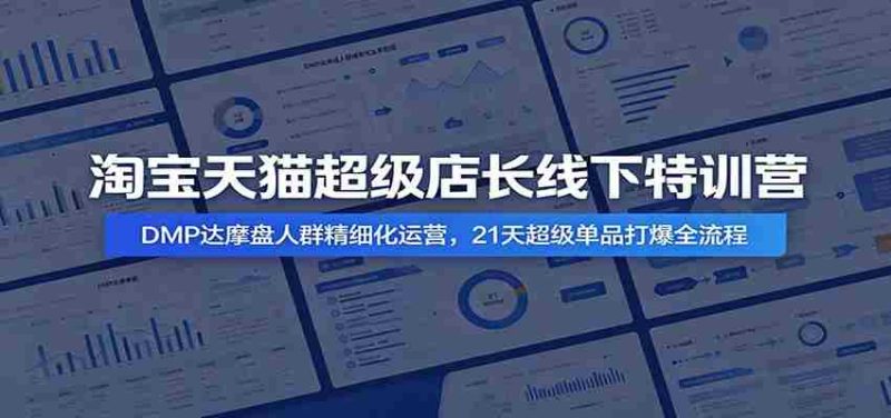淘宝天猫超级店长线下特训营：DMP达摩盘人群精细化运营，21天超级单品打爆全流程-金启创业网 - 网上赚钱方法教程大全 - www.jinqi6.top