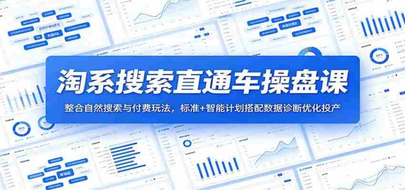 淘系搜索直通车操盘课：整合自然搜索与付费玩法，标准+智能计划搭配数据诊断优化投产-金启创业网 - 网上赚钱方法教程大全 - www.jinqi6.top