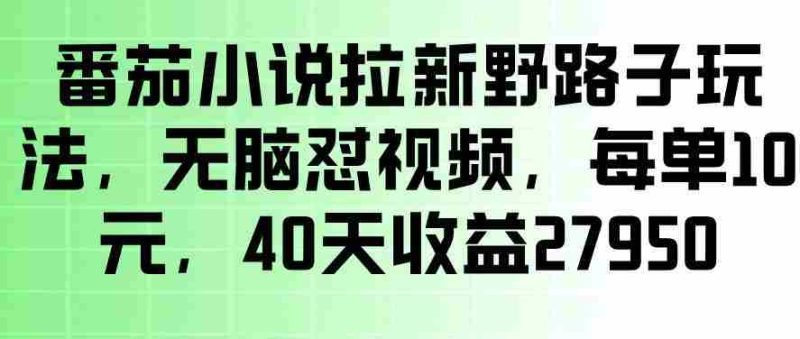 番茄小说拉新野路子玩法，无脑怼视频，玩法简单、见效快，每单10米，40天收益27950-金启创业网 - 网上赚钱方法教程大全 - www.jinqi6.top
