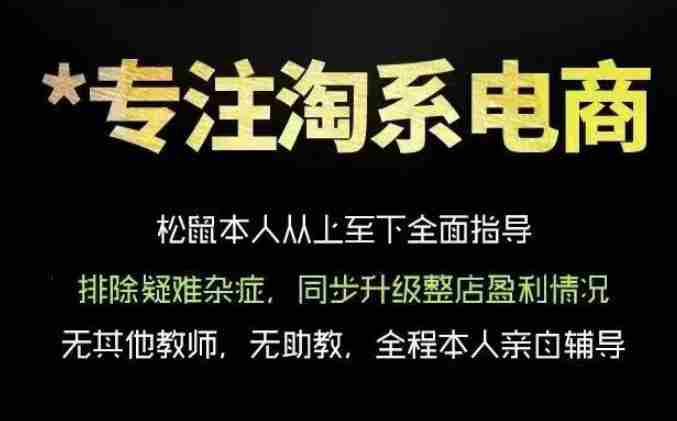 松鼠会电商VIP课程，从基础布局到高阶优化，助你掌握淘宝运营逻辑，提升店铺流量与转化-金启创业网 - 网上赚钱方法教程大全 - www.jinqi6.top