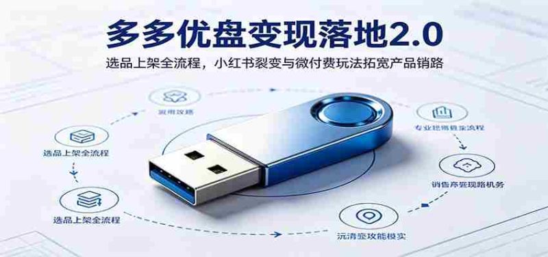 多多优盘变现落地2.0：选品上架全流程，小红书裂变与微付费玩法拓宽产品销路-金启创业网 - 网上赚钱方法教程大全 - www.jinqi6.top
