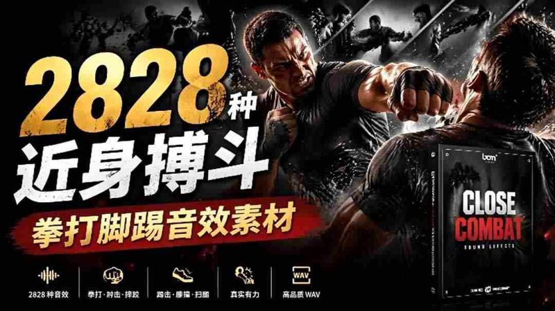 （19072期）宝藏级别音效！2828种近身搏斗拳打脚踢音效素材，全部中文分类，免解压使用  Close Combat-金启创业网 - 网上赚钱方法教程大全 - www.jinqi6.top