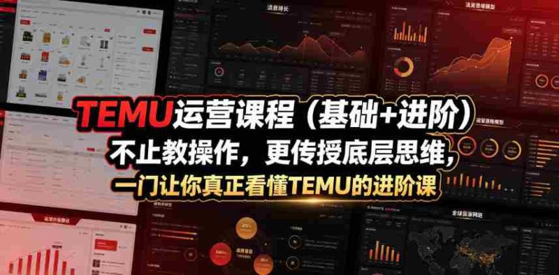 TEMU运营课程（基础+进阶），不止教操作，更传授底层思维，一门让你真正看懂TEMU的进阶课-金启创业网 - 网上赚钱方法教程大全 - www.jinqi6.top