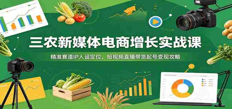 三农新媒体电商增长实战课：精准赛道IP人设定位，短视频直播带货起号变现攻略-金启创业网 - 网上赚钱方法教程大全 - www.jinqi6.top