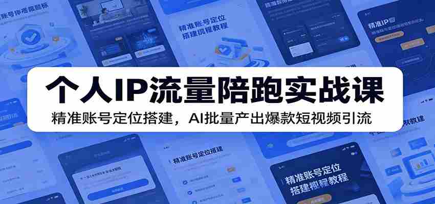 个人IP流量陪跑实战课：精准账号定位搭建，AI批量产出爆款短视频引流-金启创业网 - 网上赚钱方法教程大全 - www.jinqi6.top