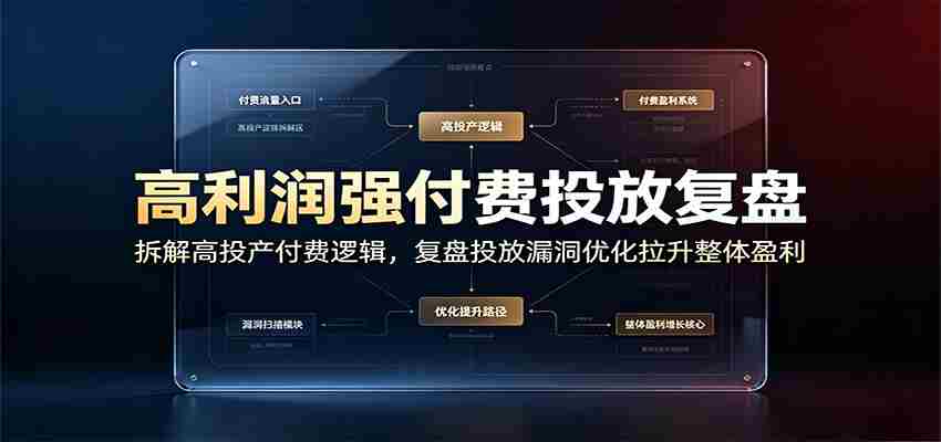 高利润强付费投放复盘：拆解高投产付费逻辑，复盘投放漏洞优化拉升整体盈利-金启创业网 - 网上赚钱方法教程大全 - www.jinqi6.top