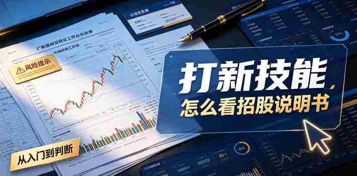 付费文章：打新技能，怎么看招股说明书-金启创业网 - 网上赚钱方法教程大全 - www.jinqi6.top
