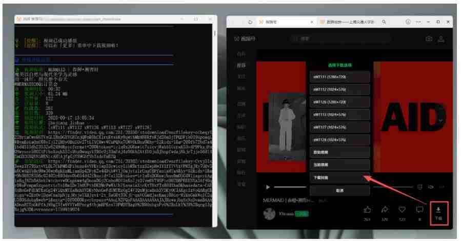 Github热门工具，视频号下载神器又来了！一键注入下载按钮，轻松下载，使用便捷wx_channel