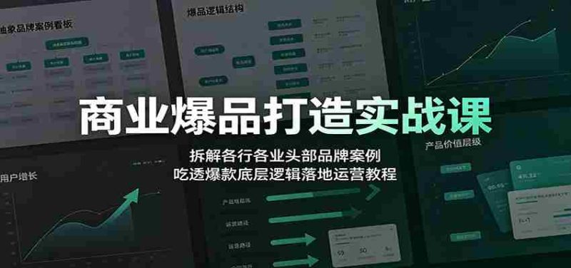 商业爆品打造实战课：拆解各行各业头部品牌案例，吃透爆款底层逻辑落地运营教程-金启创业网 - 网上赚钱方法教程大全 - www.jinqi6.top