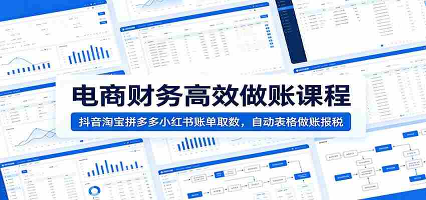 电商财务高效做账课程：抖音淘宝拼多多小红书账单取数，自动表格做账报税-金启创业网 - 网上赚钱方法教程大全 - www.jinqi6.top